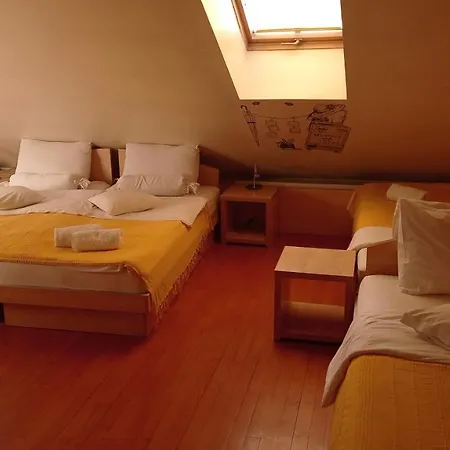 Car Royal And Pensionat